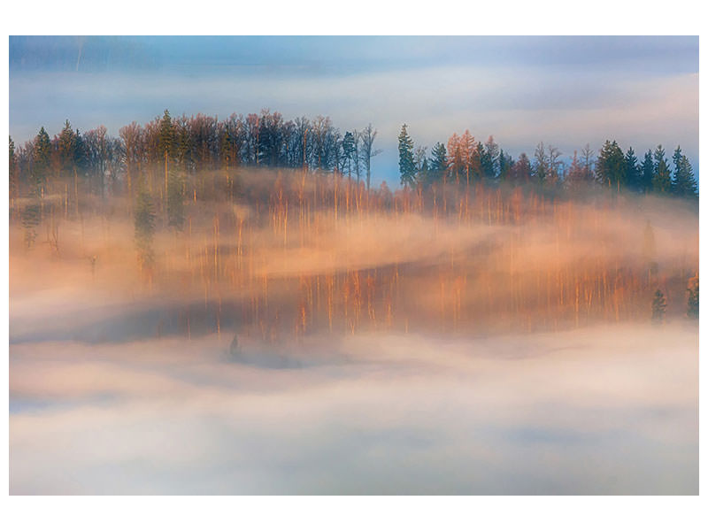 panoramic-3-piece-canvas-print-in-the-morning-mists