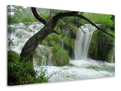 modern-3-piece-canvas-print-in-the-national-park