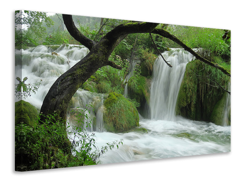 modern-4-piece-canvas-print-in-the-national-park