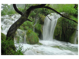 4-piece-canvas-print-in-the-national-park