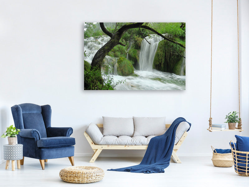 modern-4-piece-canvas-print-in-the-national-park