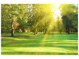modern-4-piece-canvas-print-in-the-park