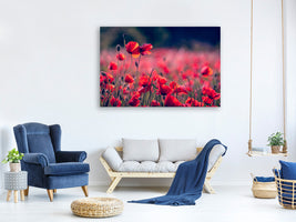 modern-4-piece-canvas-print-in-the-poppy-field