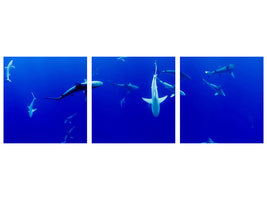 3-piece-canvas-print-in-the-shark-tank