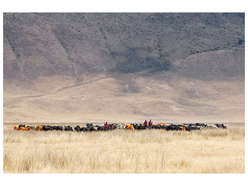 panoramic-3-piece-canvas-print-incredible-maasai