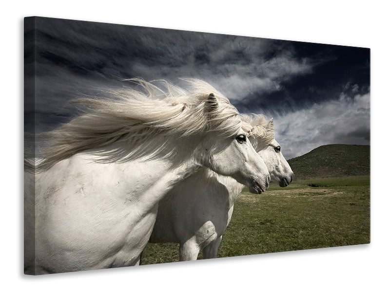 modern-3-piece-canvas-print-interplay