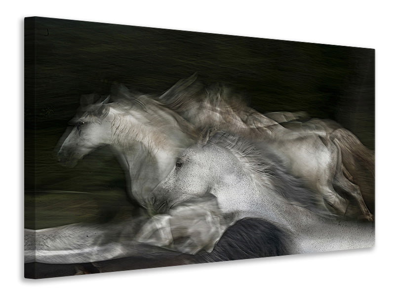 panoramic-3-piece-canvas-print-into-the-dark