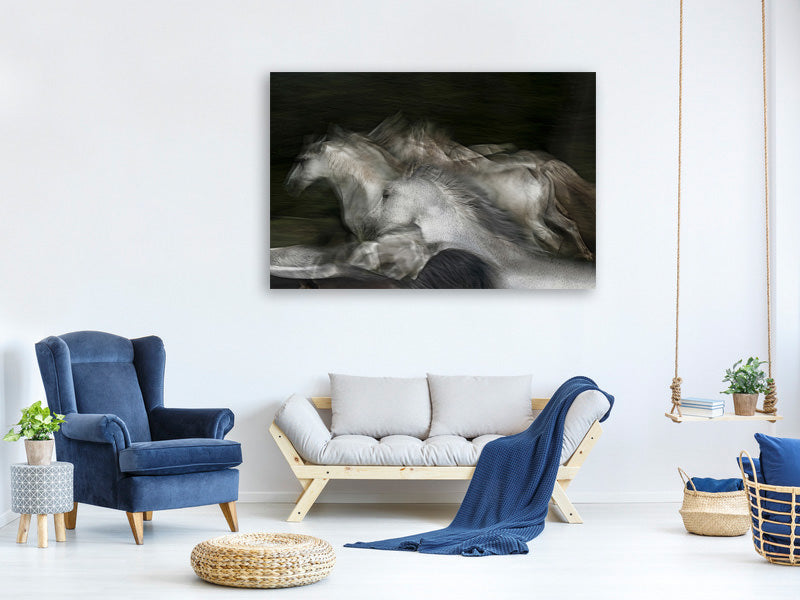 panoramic-canvas-print-into-the-dark