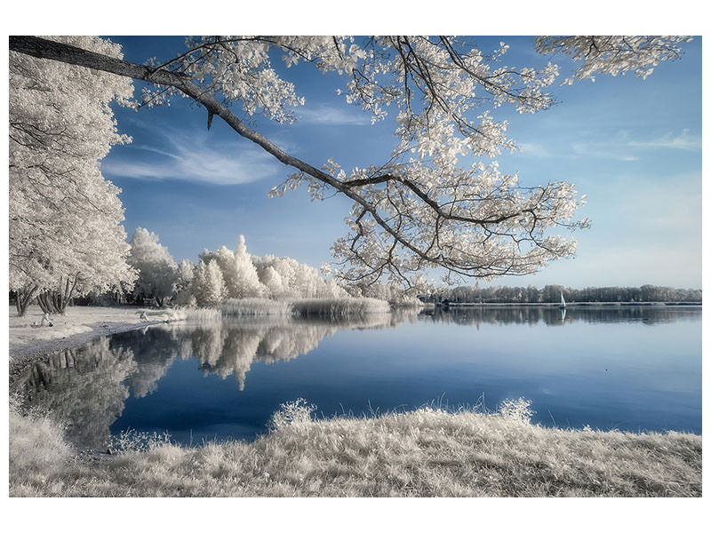 5-piece-canvas-print-irenkowo