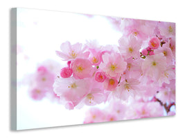 panoramic-3-piece-canvas-print-japanese-cherry-blossom-xl