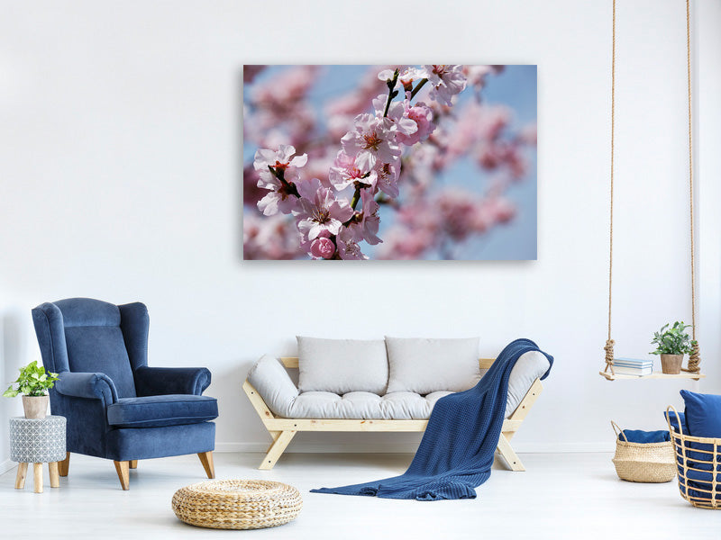 3-piece-canvas-print-japanese-cherry-tree-close-up