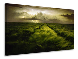 3-piece-canvas-print-journey-to-the-fierce-storm