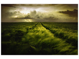 modern-4-piece-canvas-print-journey-to-the-fierce-storm
