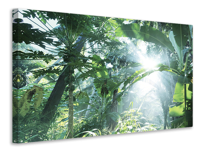 4-piece-canvas-print-jungle-star
