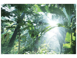 modern-4-piece-canvas-print-jungle-star