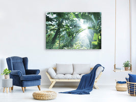 modern-4-piece-canvas-print-jungle-star