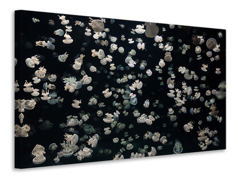 4-piece-canvas-print-just-some-jellies
