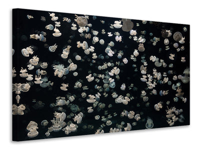 4-piece-canvas-print-just-some-jellies