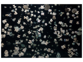 modern-4-piece-canvas-print-just-some-jellies