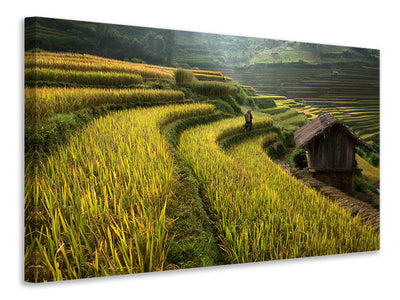 panoramic-3-piece-canvas-print-keep-walking