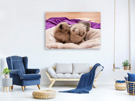 3-piece-canvas-print-kitten-trio-to-fall-in-love