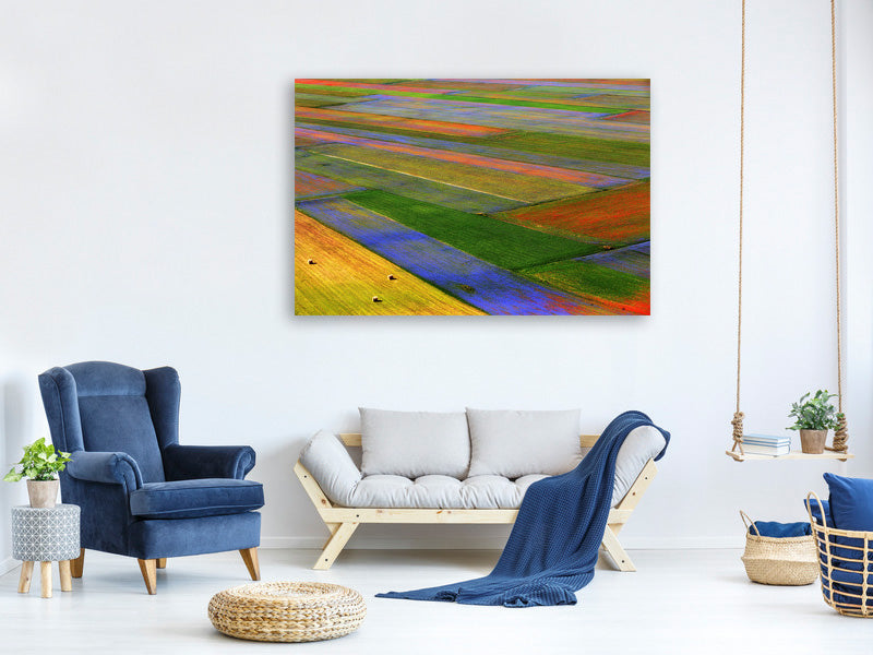 panoramic-canvas-print-la-coperta