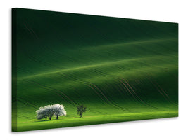 panoramic-3-piece-canvas-print-ladies-in-white