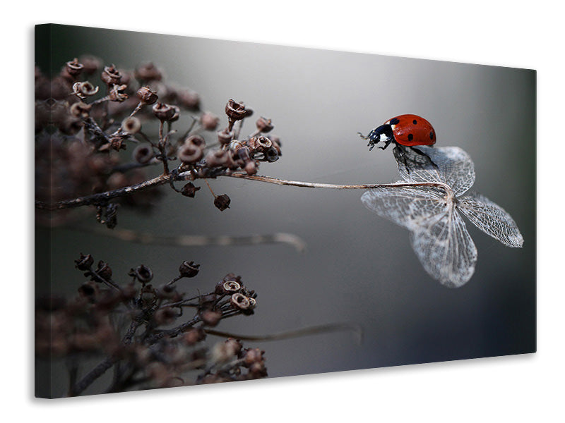 3-piece-canvas-print-ladybird-on-hydrangea