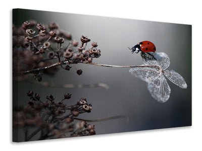 3-piece-canvas-print-ladybird-on-hydrangea