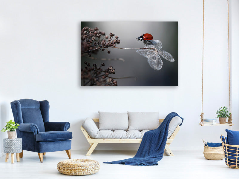 3-piece-canvas-print-ladybird-on-hydrangea