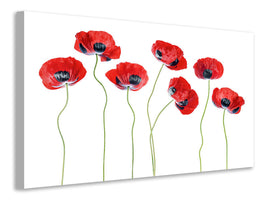 4-piece-canvas-print-ladybird-poppies