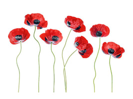 5-piece-canvas-print-ladybird-poppies