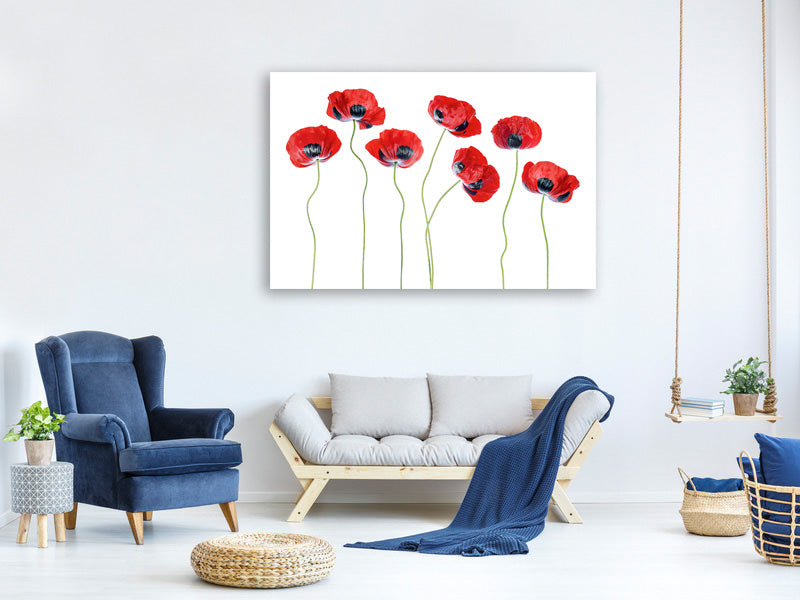 3-piece-canvas-print-ladybird-poppies