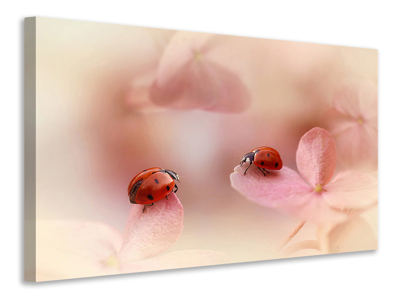 panoramic-3-piece-canvas-print-ladybirds-on-pink-hydrangea