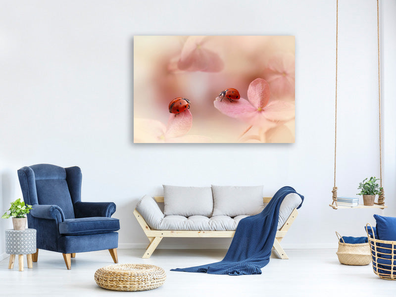 4-piece-canvas-print-ladybirds-on-pink-hydrangea