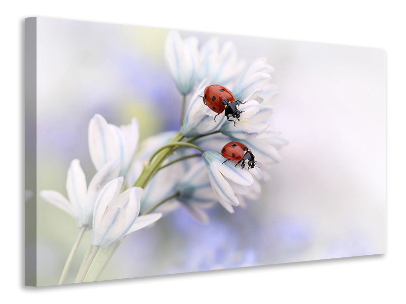 3-piece-canvas-print-ladybirds
