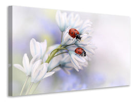 4-piece-canvas-print-ladybirds