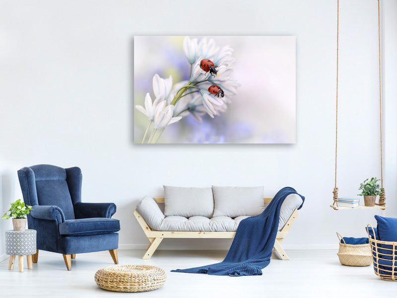 modern-4-piece-canvas-print-ladybirds