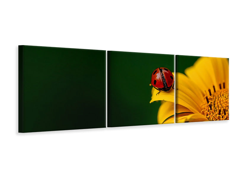 panoramic-canvas-print-ladybug-on-the-sunflower
