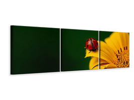 canvas-print-ladybug-on-the-sunflower
