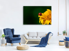 panoramic-canvas-print-ladybug-on-the-sunflower