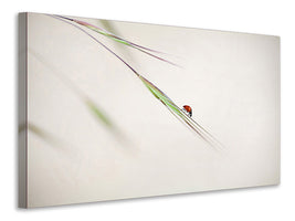 panoramic-3-piece-canvas-print-ladybug