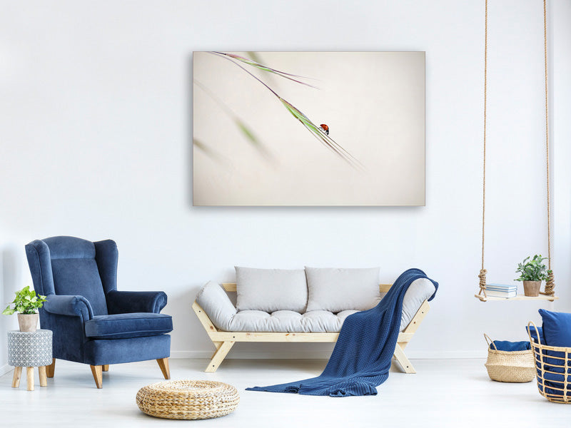 panoramic-3-piece-canvas-print-ladybug