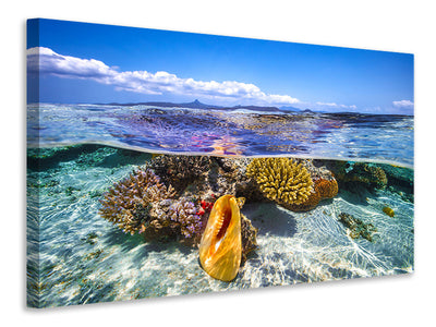 modern-3-piece-canvas-print-lagoon-life