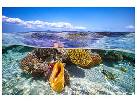 3-piece-canvas-print-lagoon-life