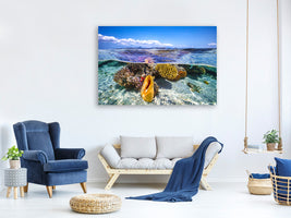 4-piece-canvas-print-lagoon-life