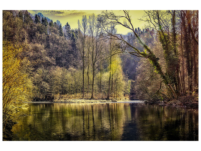 4-piece-canvas-print-lake-in-the-forest