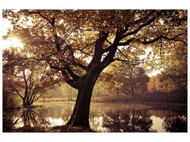 modern-4-piece-canvas-print-landscape-park