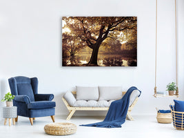 5-piece-canvas-print-landscape-park
