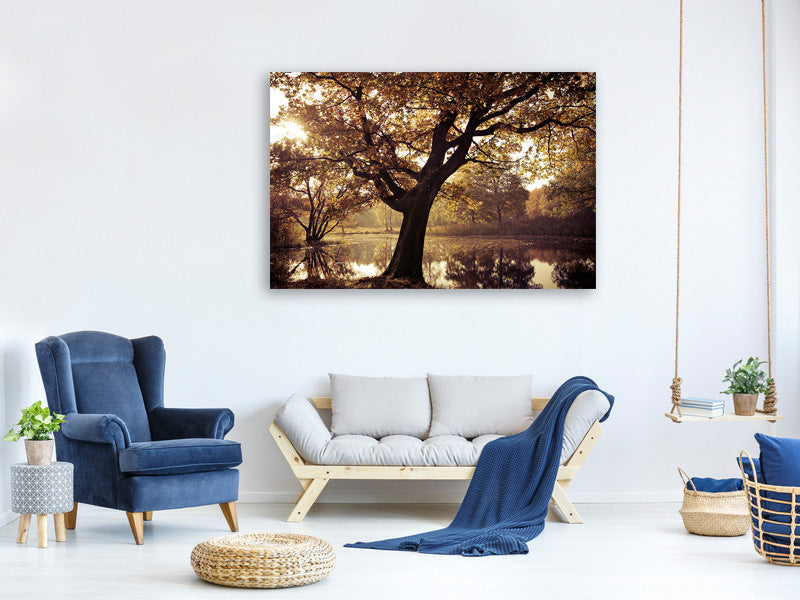 4-piece-canvas-print-landscape-park